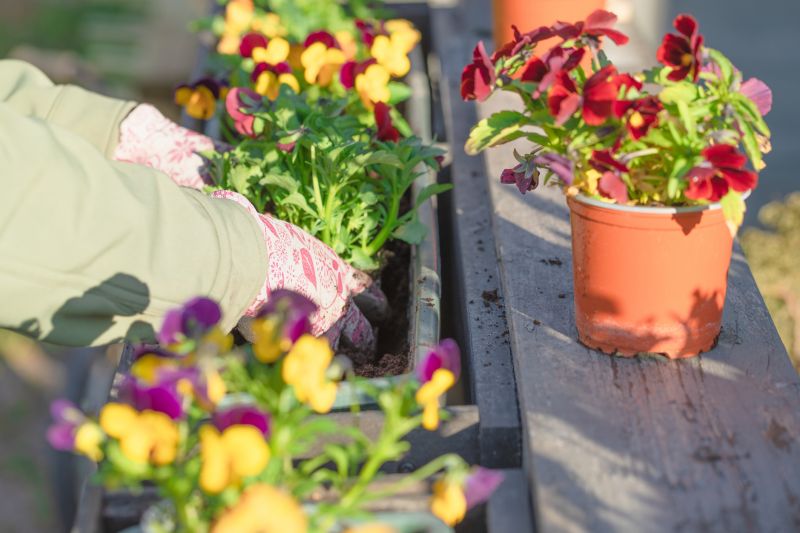 Flower Planting