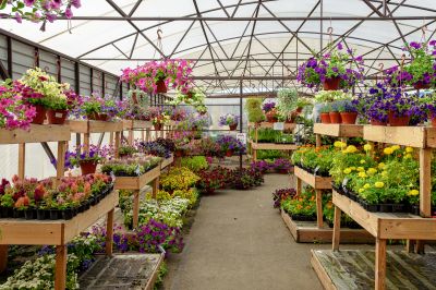 Flower Planting Cost Guide — Cost of Flower Planting