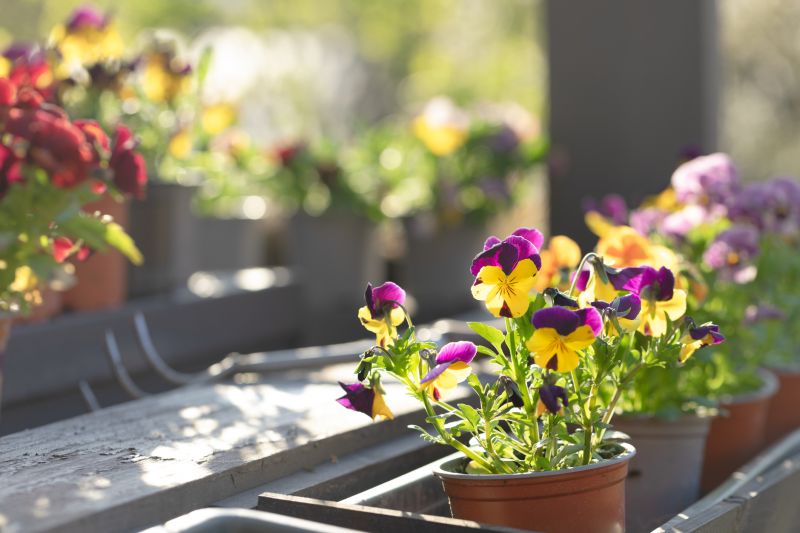 Flower Planting Cost Guide — Cost of Flower Planting